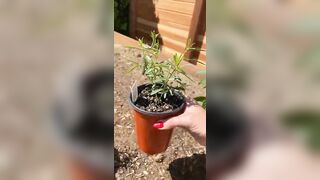 [146 of 156 Vids] Adrianachechik (Adriana Chechik) OnlyFans Leaks Nude Pro Pornstar