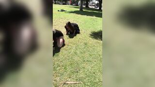 [37 of 156 Vids] Adrianachechik (Adriana Chechik) OnlyFans Leaks Nude Pro Pornstar