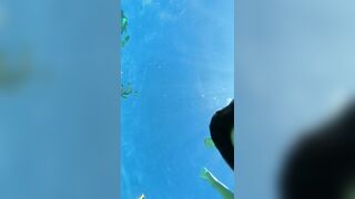 [65 of 156 Vids] Adrianachechik (Adriana Chechik) OnlyFans Leaks Nude Pro Pornstar