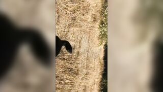 [96 of 156 Vids] Adrianachechik (Adriana Chechik) OnlyFans Leaks Nude Pro Pornstar