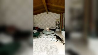 [8 of 75 Vids] Adrianachechik PPV (BratNasty aka Adrian Chechik) OnlyFans Leaks AVN performer