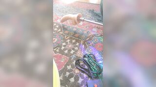 [127 of 396 Vids] Aella_girl (aellagirl_official) OnlyFans Leaks Nude OG Whorelord