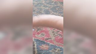 [127 of 396 Vids] Aella_girl (aellagirl_official) OnlyFans Leaks Nude OG Whorelord