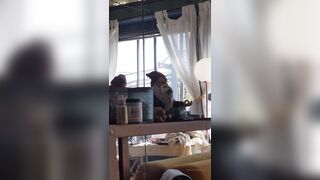 [174 of 396 Vids] Aella_girl (aellagirl_official) OnlyFans Leaks Nude OG Whorelord