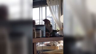 [174 of 396 Vids] Aella_girl (aellagirl_official) OnlyFans Leaks Nude OG Whorelord