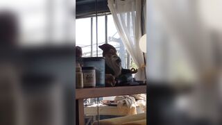 [174 of 396 Vids] Aella_girl (aellagirl_official) OnlyFans Leaks Nude OG Whorelord