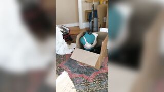 [20 of 396 Vids] Aella_girl (aellagirl_official) OnlyFans Leaks Nude OG Whorelord