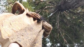 [265 of 396 Vids] Aella_girl (aellagirl_official) OnlyFans Leaks Nude OG Whorelord