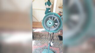 [381 of 396 Vids] Aella_girl (aellagirl_official) OnlyFans Leaks Nude OG Whorelord