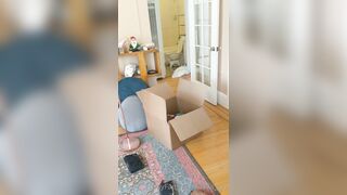 [381 of 396 Vids] Aella_girl (aellagirl_official) OnlyFans Leaks Nude OG Whorelord