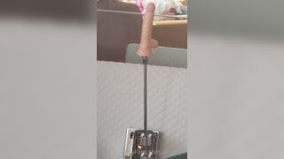 [390 of 396 Vids] Aella_girl (aellagirl_official) OnlyFans Leaks Nude OG Whorelord