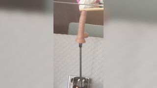 [390 of 396 Vids] Aella_girl (aellagirl_official) OnlyFans Leaks Nude OG Whorelord