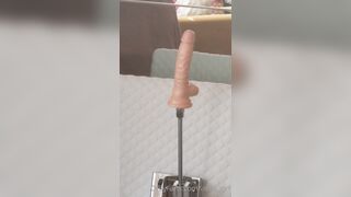[390 of 396 Vids] Aella_girl (aellagirl_official) OnlyFans Leaks Nude OG Whorelord