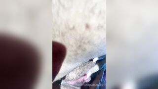 [134 of 303 Vids] Chleopatrapaige (Chleopatra Paige aka Chleo) OnlyFans Leaks Nude Squirt Queen