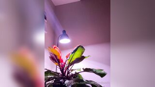 [41 of 158 Vids] NudesforDoods (Nudes for Short) OnlyFans Leaks Nude Hairy Rock Climber