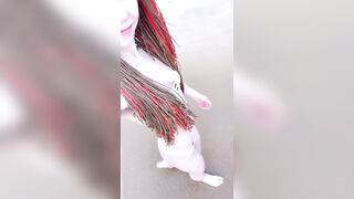 [152 of 635 Vids] Mianaughtygirl (Mia Bandini aka Miabandini) OnlyFans Leaks Nude Naughty