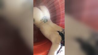 [152 of 492 Vids] Circasays (circasuicide) OnlyFans Leaks Nude Travel Obsessed Clown