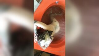 [152 of 492 Vids] Circasays (circasuicide) OnlyFans Leaks Nude Travel Obsessed Clown