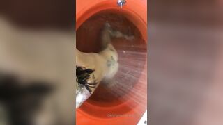 [152 of 492 Vids] Circasays (circasuicide) OnlyFans Leaks Nude Travel Obsessed Clown