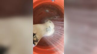 [152 of 492 Vids] Circasays (circasuicide) OnlyFans Leaks Nude Travel Obsessed Clown