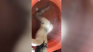 [152 of 492 Vids] Circasays (circasuicide) OnlyFans Leaks Nude Travel Obsessed Clown