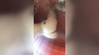 [152 of 492 Vids] Circasays (circasuicide) OnlyFans Leaks Nude Travel Obsessed Clown