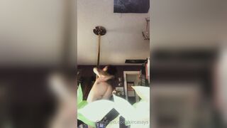 [297 of 492 Vids] Circasays (circasuicide) OnlyFans Leaks Nude Travel Obsessed Clown