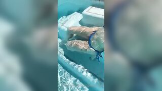 [276 of 491 Vids] Angelawhite (Angela White aka theangelawhite) OnlyFans Leaks Nude Aussie