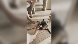 [224 of 236 Vids] Reislin (reislin_model_) OnlyFans Leaks Nude Sluttiest Girl