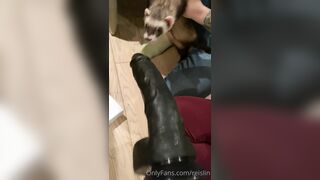 [39 of 236 Vids] Reislin (reislin_model_) OnlyFans Leaks Nude Sluttiest Girl