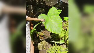 [20 of 270 Vids] Sleepychew (Sleepy Chew) OnlyFans Leaks Nude Asian Chinese