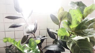 [99 of 270 Vids] Sleepychew (Sleepy Chew) OnlyFans Leaks Nude Asian Chinese