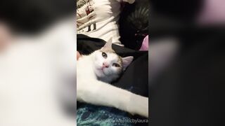 [7 of 54 Vids] Eroticbylaura (Erotic by Laura aka sensualbylaura) OnlyFans Leaks Nude