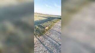 [161 of 537 Vids]  Hannahbrooks25 (Hannah Brooks) OnlyFans Leaks Nude Bristol Milf