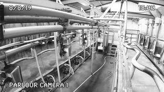 [320 of 537 Vids] Hannahbrooks25 (Hannah Brooks) OnlyFans Leaks Nude Bristol Milf