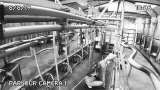 [320 of 537 Vids] Hannahbrooks25 (Hannah Brooks) OnlyFans Leaks Nude Bristol Milf