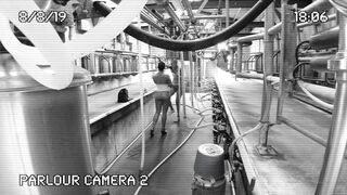 [320 of 537 Vids] Hannahbrooks25 (Hannah Brooks) OnlyFans Leaks Nude Bristol Milf