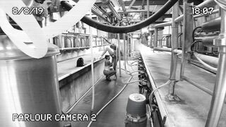 [320 of 537 Vids] Hannahbrooks25 (Hannah Brooks) OnlyFans Leaks Nude Bristol Milf