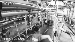 [320 of 537 Vids] Hannahbrooks25 (Hannah Brooks) OnlyFans Leaks Nude Bristol Milf