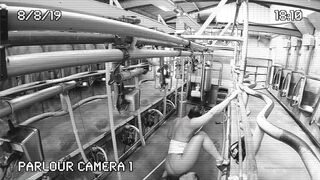 [320 of 537 Vids] Hannahbrooks25 (Hannah Brooks) OnlyFans Leaks Nude Bristol Milf