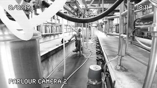 [320 of 537 Vids] Hannahbrooks25 (Hannah Brooks) OnlyFans Leaks Nude Bristol Milf