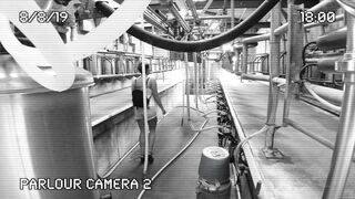 [320 of 537 Vids] Hannahbrooks25 (Hannah Brooks) OnlyFans Leaks Nude Bristol Milf