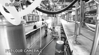 [320 of 537 Vids] Hannahbrooks25 (Hannah Brooks) OnlyFans Leaks Nude Bristol Milf