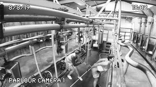 [320 of 537 Vids] Hannahbrooks25 (Hannah Brooks) OnlyFans Leaks Nude Bristol Milf