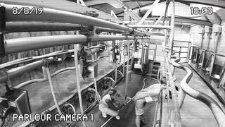 [320 of 537 Vids] Hannahbrooks25 (Hannah Brooks) OnlyFans Leaks Nude Bristol Milf