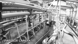 [320 of 537 Vids] Hannahbrooks25 (Hannah Brooks) OnlyFans Leaks Nude Bristol Milf