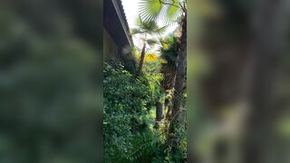 View from where I am staying in Chiang Mai - Jewelzblu OnlyFans Leaks