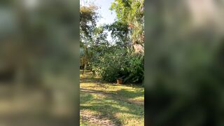 View from where I am staying in Chiang Mai - Jewelzblu OnlyFans Leaks