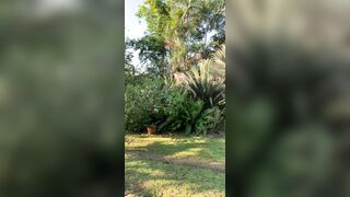 View from where I am staying in Chiang Mai - Jewelzblu OnlyFans Leaks