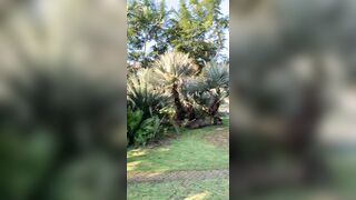 View from where I am staying in Chiang Mai - Jewelzblu OnlyFans Leaks